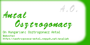 antal osztrogonacz business card